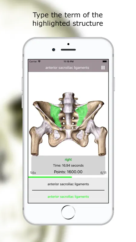 Anatomy Quiz Premium screenshot 3 of 7