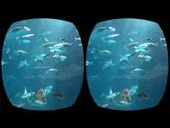 Aquarium Videos for Cardboard ipad bilder 3