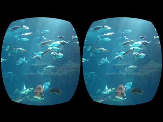 Aquarium Videos for Cardboard iPad app afbeelding 4