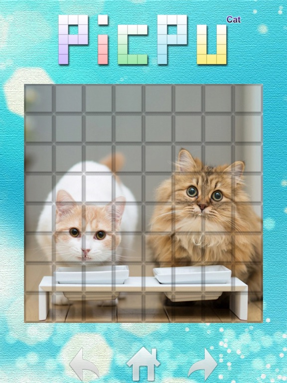 PicPu - Cat Picture Puzzle Screenshots