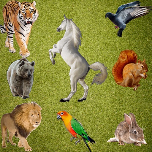 Real Animals Emoji Stickers icon