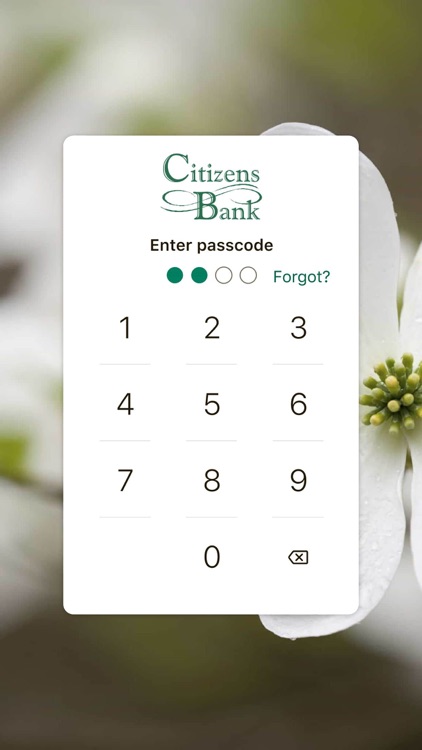 Citizens Bank Charleston