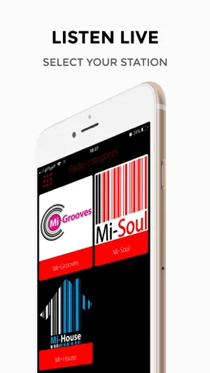 Mi-Soul screenshot 1