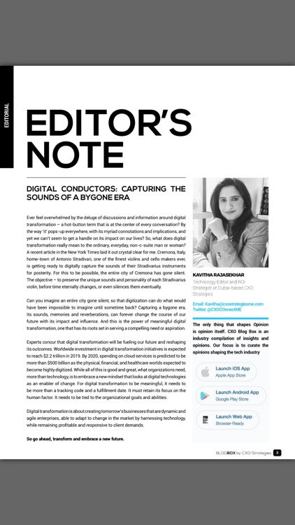 CXO Strategies Blog Box