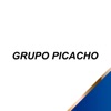 Grupo Picacho