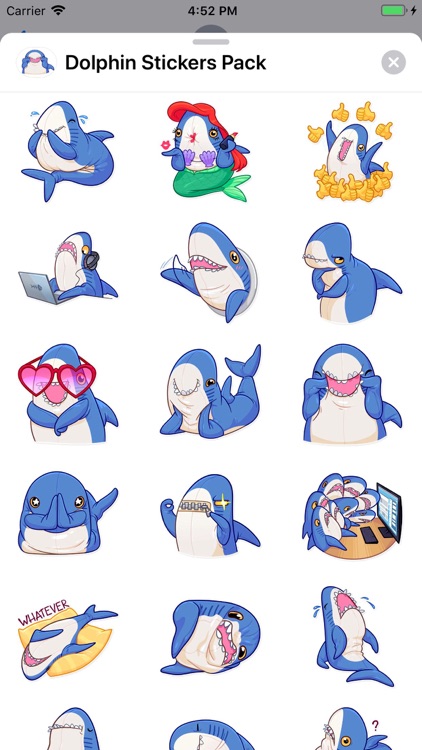 Dolphin Stickers Pack