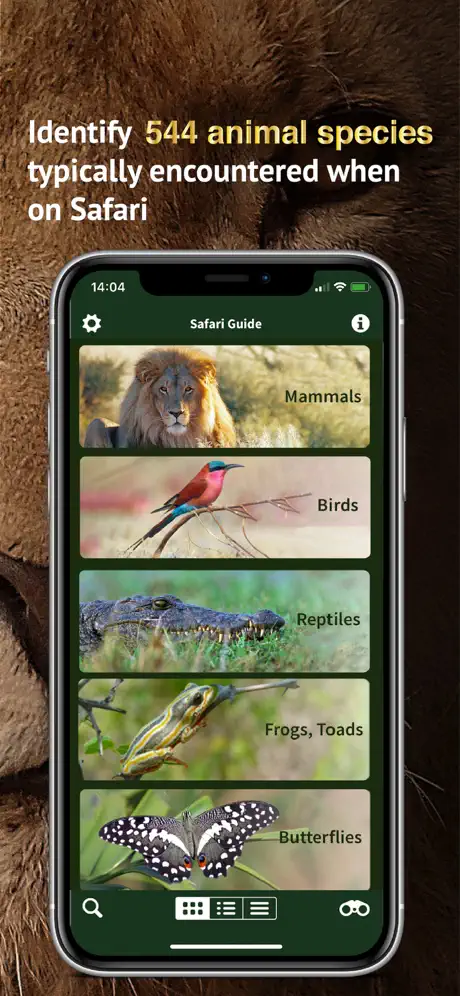 The Golden Safari Guide