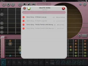 Echo Guitar™ Pro screenshot #5 for iPad