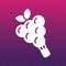 Gotto is a booking app for wine tours and tastings at the best wineries in Italy