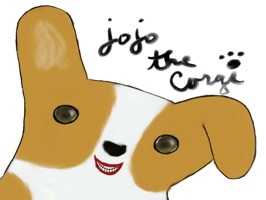 JoJo-The-Corgi