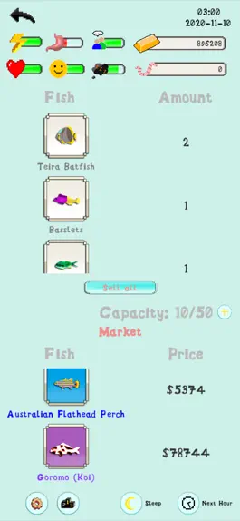 Game screenshot Fisherman in Town apk