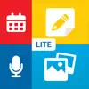 Notes Lite - Professional problems & troubleshooting and solutions