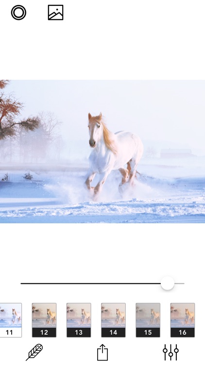 Whitecam - White is Beautiful