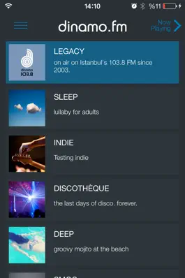 Game screenshot dinamo.fm apk
