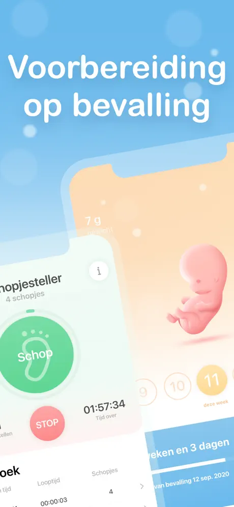 Mijn Zwangerschap゜