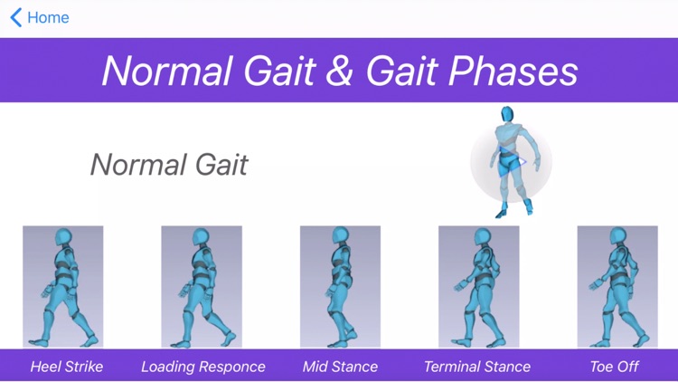 Dart GA screenshot-7