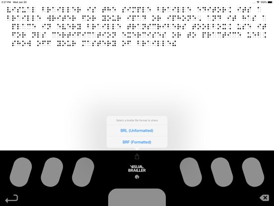 Visual Braillerのおすすめ画像3
