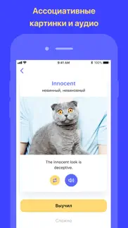 Учить английские слова и язык! айфон картинки 4