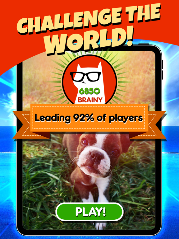 Screenshot #4 pour Word Search Pets