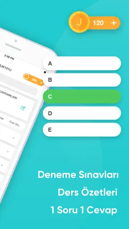 Game screenshot AÖF Pro - Çıkmış Sorular Plus apk