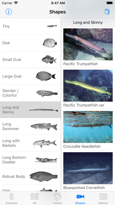 Snorkel Fish Hawaii for iPhoneのおすすめ画像7