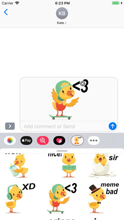 Cute Duck Stickers