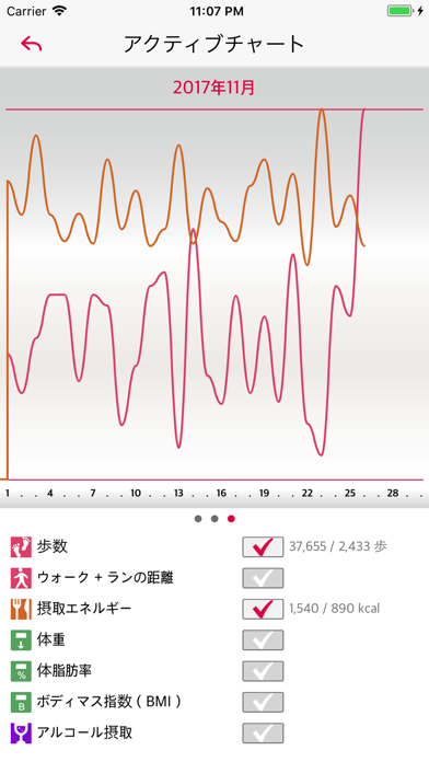 燃焼モニタのおすすめ画像4