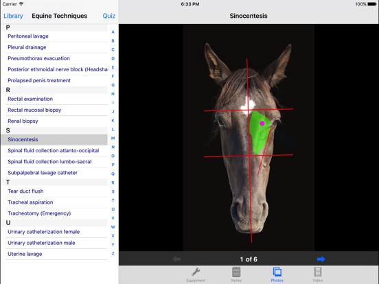 BEVA Equine Techniquesのおすすめ画像1