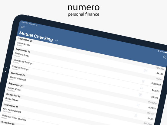 Screenshot #1 for Numero: Personal Finance
