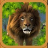 Wild Lion Simulator Attack 3D