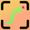 Snake Identifier - PABLO FABRE