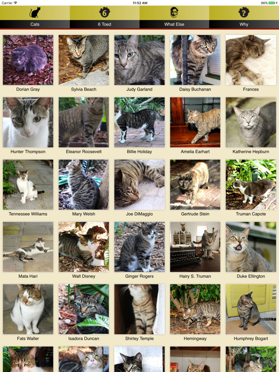 Screenshot #6 pour Hemingway Cats