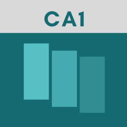 Actuarial CA1 Flashcards Cheats