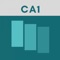 Icon Actuarial CA1 Flashcards