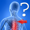 Anatomy Spine Quiz - Alexander Mokrushin