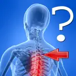 Anatomy Spine Quiz App Cancel