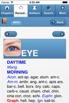 Game screenshot Synthesis English Lite apk