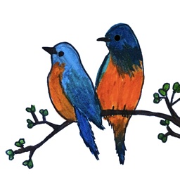 Handdrawn Birds