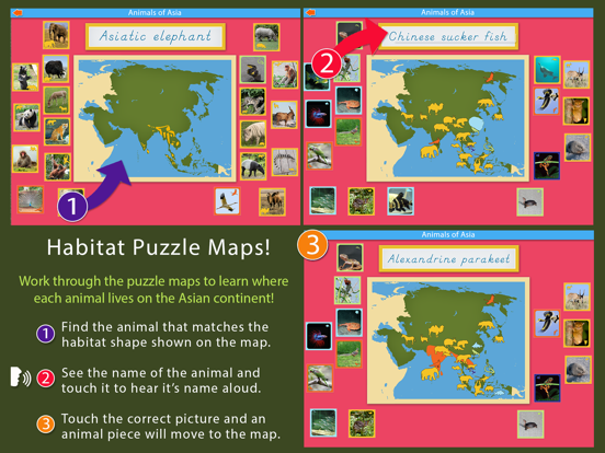 Screenshot #6 pour Montessori - Animals of Asia