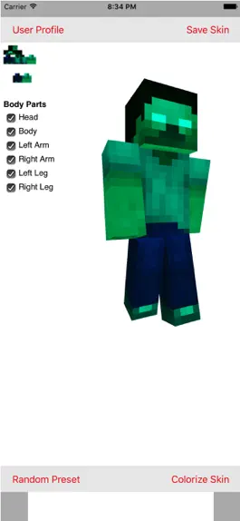 Game screenshot Create Skins For Minecraft apk