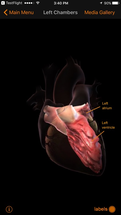 CardioSmart Heart Explorer screenshot-4