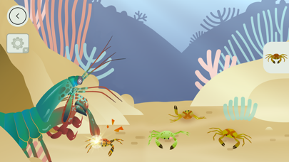 Screenshot #3 pour Les Récifs Coralliens-Tinybop