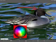 Mobile Presenter Pro ipad bilder 1
