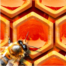螢幕擷取畫面 (4) BeeHive!