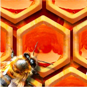 ハニカム BeeHive! icon