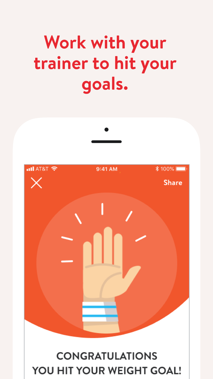 All IN Fitness Online