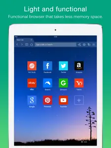 Dolphin Web Browser for iPad screenshot #3 for iPad