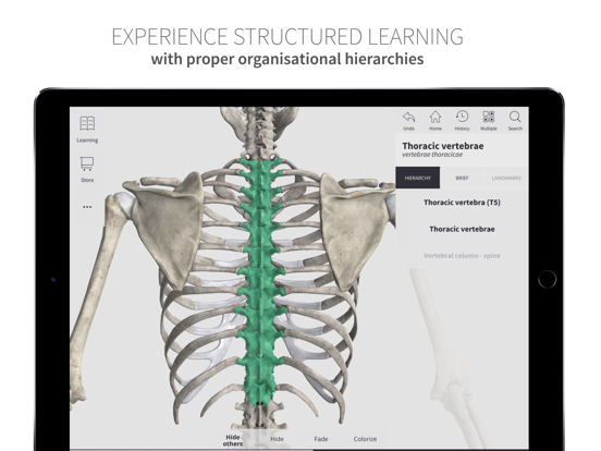 Anatomyka Skeleton iPad screenshot 6 - Education app