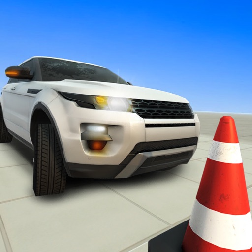 RealDrive3D