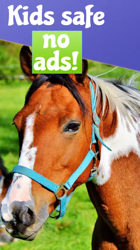 Animal Sounds for Babies ,Kids